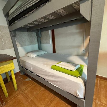 Pecari 26 Daire Cancun Dış mekan fotoğraf