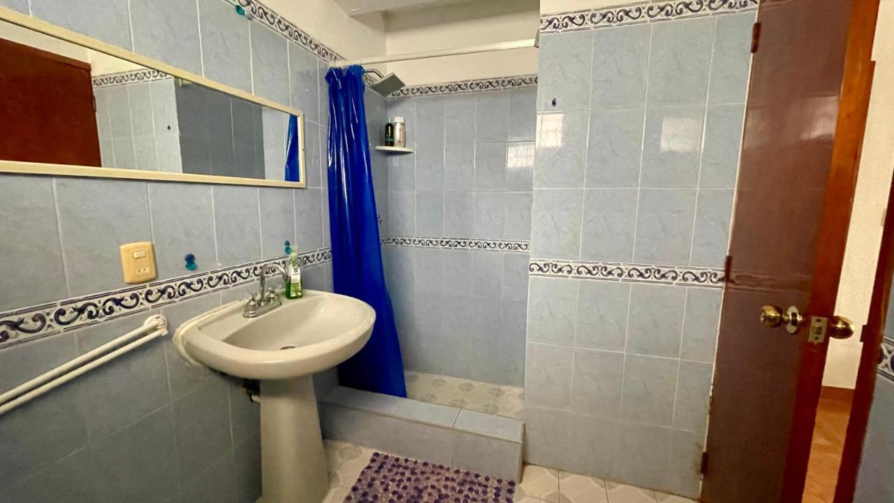 Pecari 26 Daire Cancun Dış mekan fotoğraf