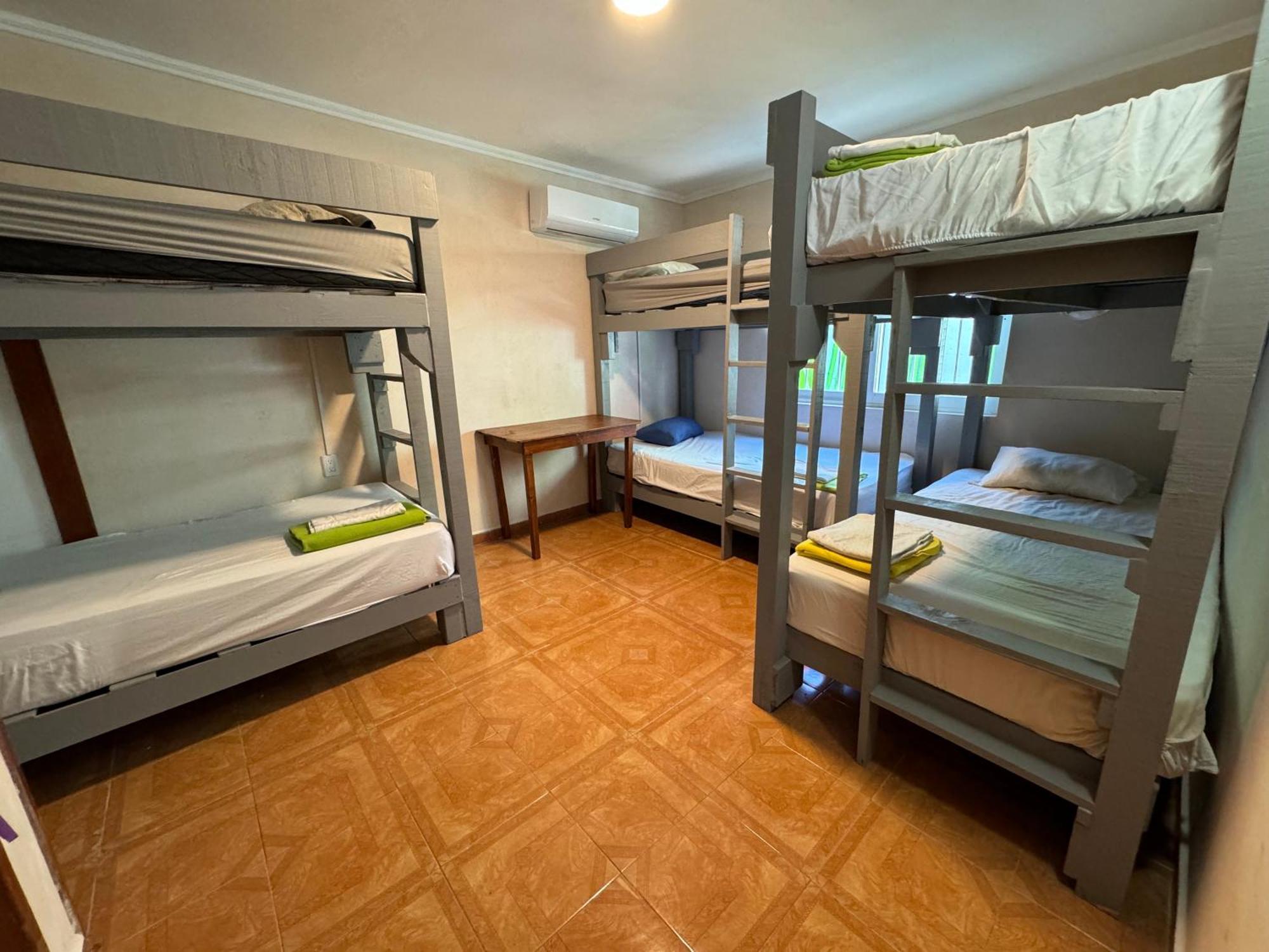 Pecari 26 Daire Cancun Dış mekan fotoğraf